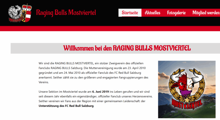 Raging Bulls Mostviertel